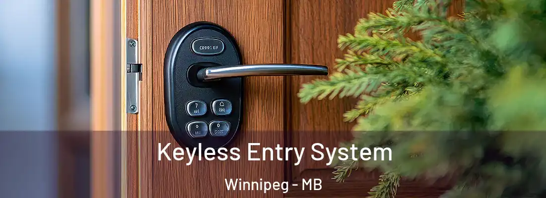  Keyless Entry System Winnipeg - MB