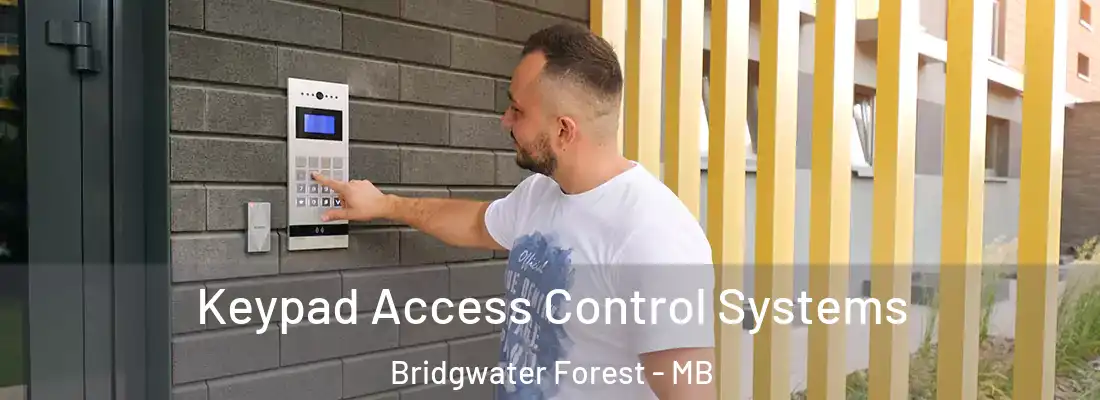  Keypad Access Control Systems Bridgwater Forest - MB