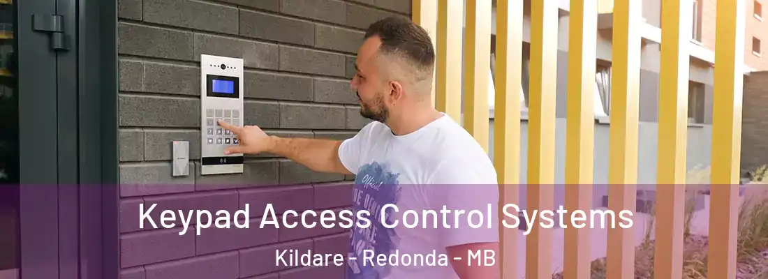  Keypad Access Control Systems Kildare - Redonda - MB