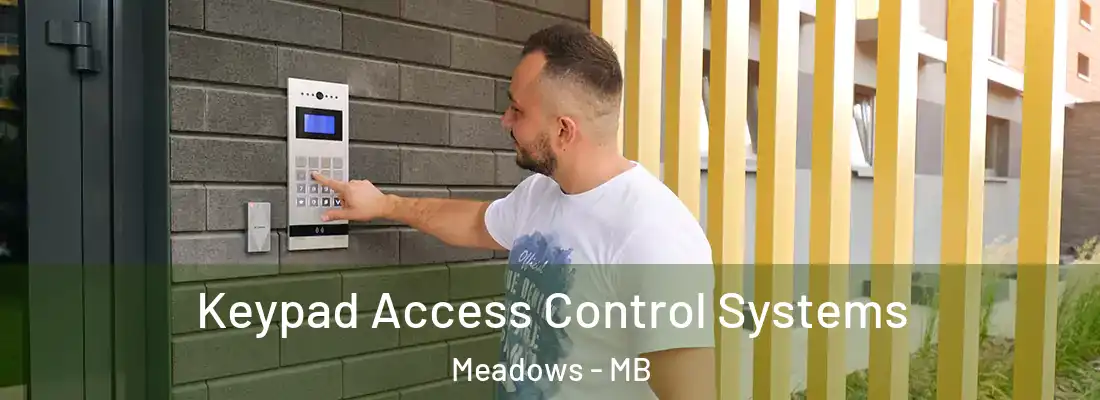  Keypad Access Control Systems Meadows - MB