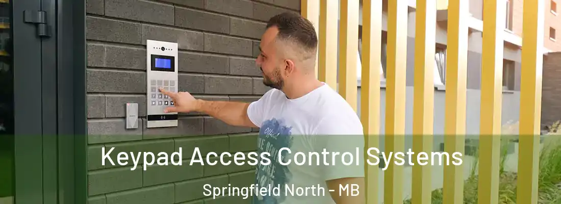  Keypad Access Control Systems Springfield North - MB