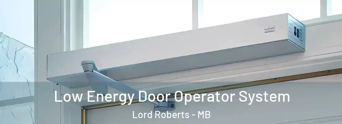  Low Energy Door Operator System Lord Roberts - MB
