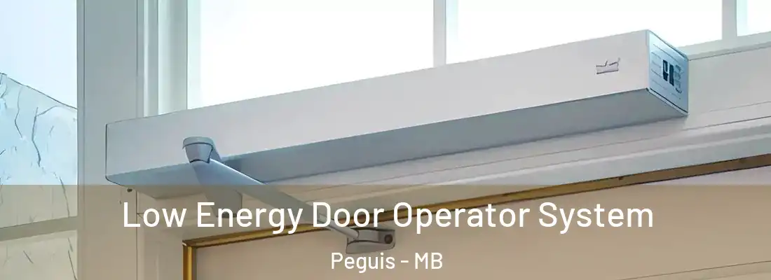  Low Energy Door Operator System Peguis - MB