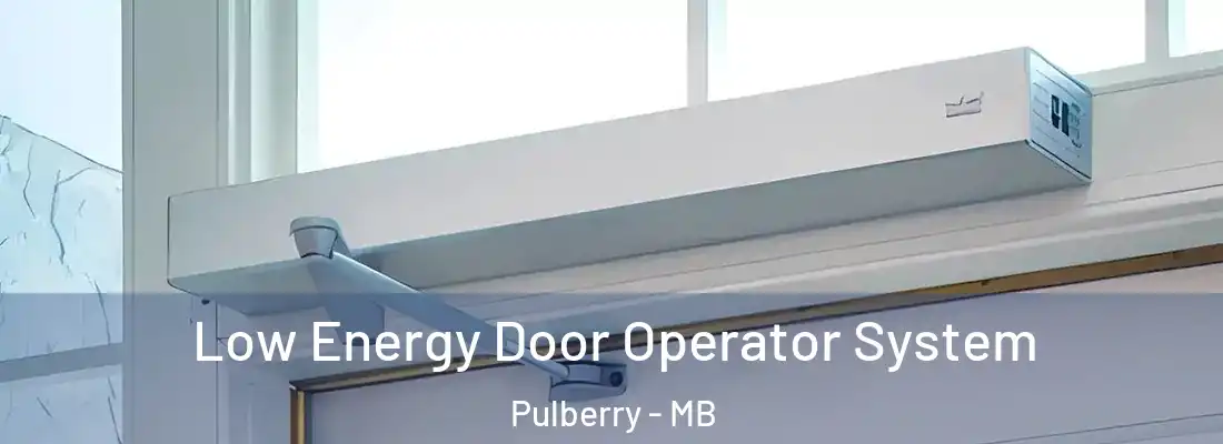  Low Energy Door Operator System Pulberry - MB