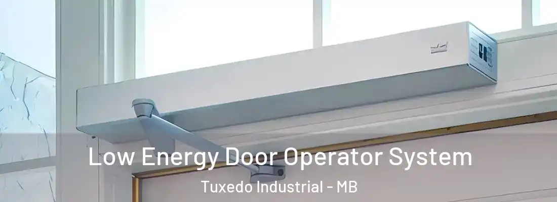  Low Energy Door Operator System Tuxedo Industrial - MB