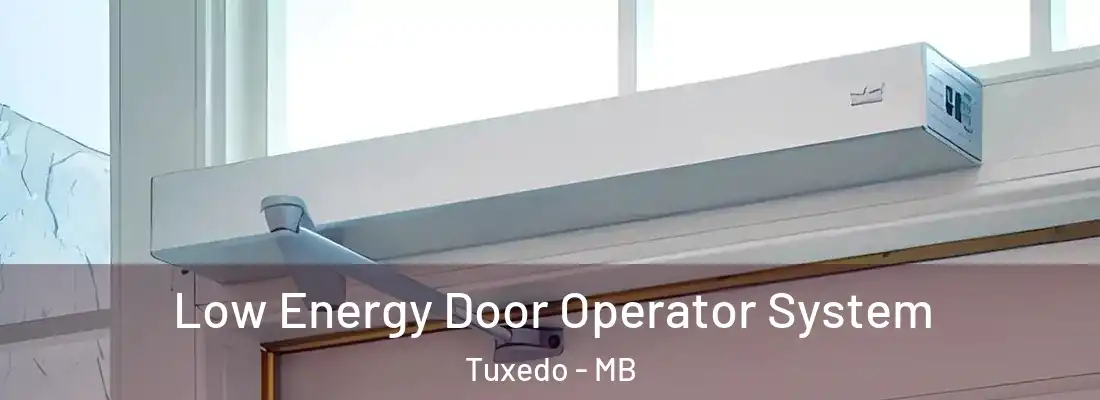  Low Energy Door Operator System Tuxedo - MB