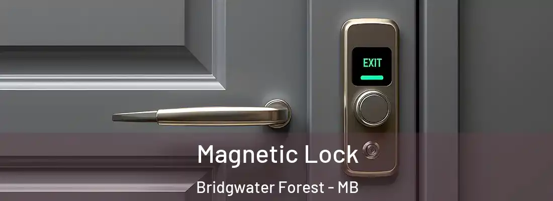  Magnetic Lock Bridgwater Forest - MB