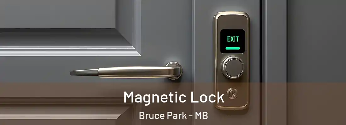 Magnetic Lock Bruce Park - MB