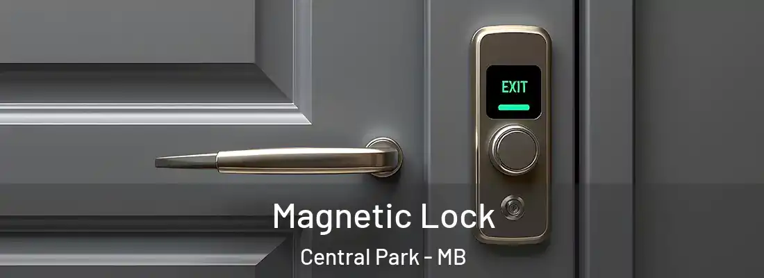  Magnetic Lock Central Park - MB