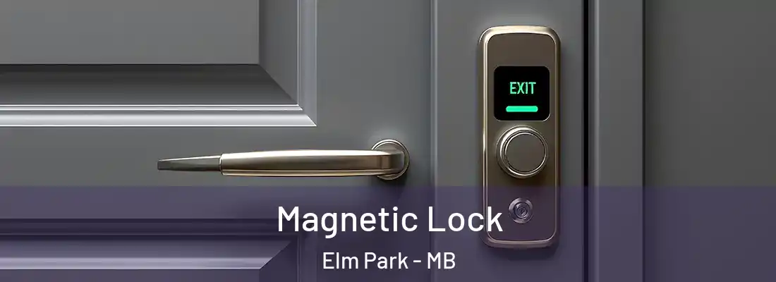  Magnetic Lock Elm Park - MB