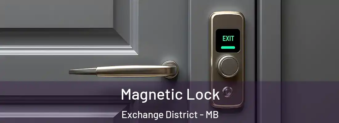  Magnetic Lock Exchange District - MB