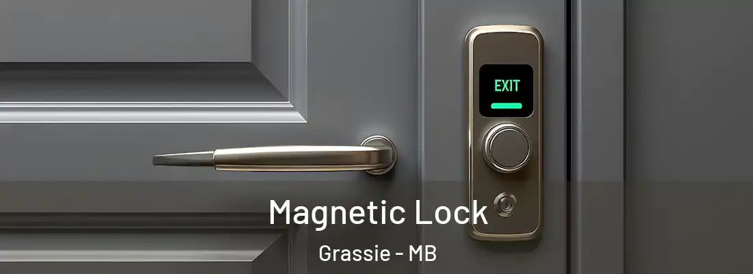  Magnetic Lock Grassie - MB