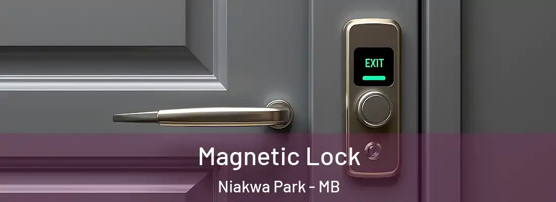  Magnetic Lock Niakwa Park - MB