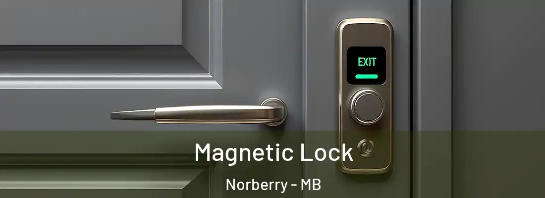  Magnetic Lock Norberry - MB