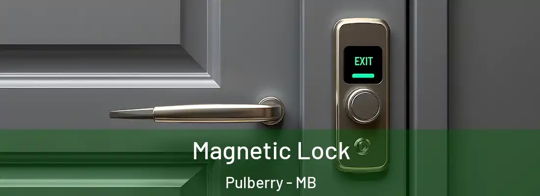  Magnetic Lock Pulberry - MB