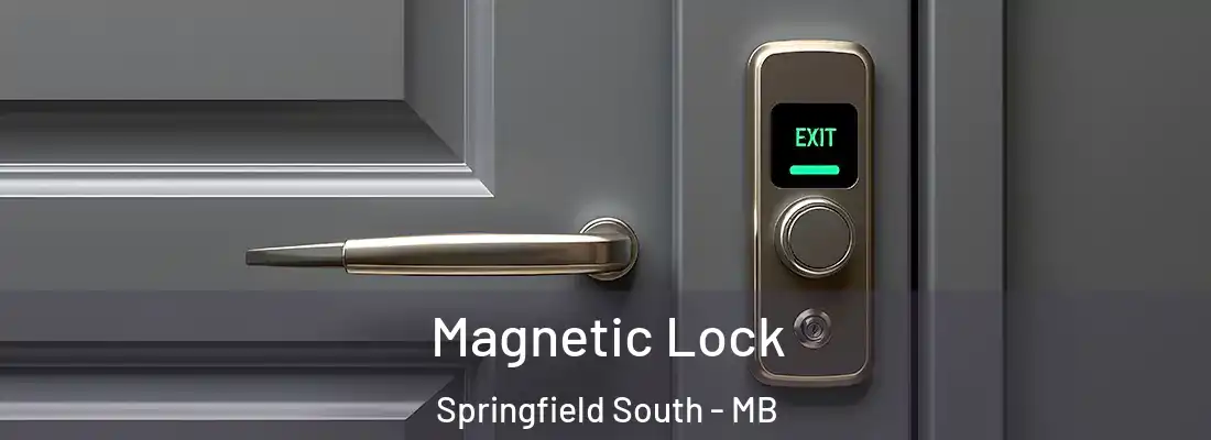  Magnetic Lock Springfield South - MB