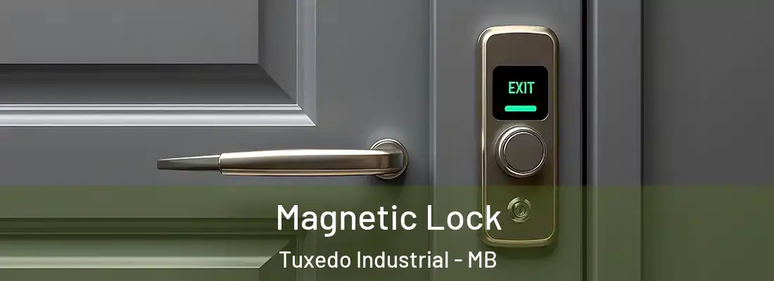  Magnetic Lock Tuxedo Industrial - MB