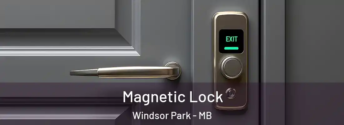  Magnetic Lock Windsor Park - MB