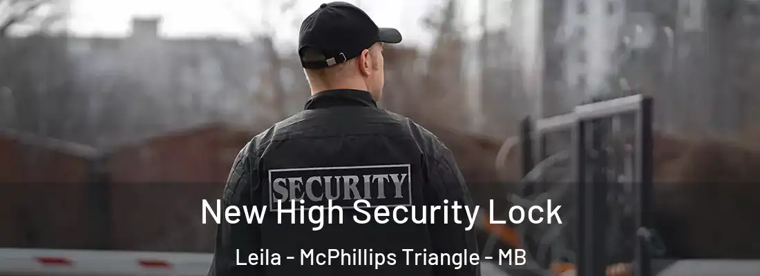  New High Security Lock Leila - McPhillips Triangle - MB