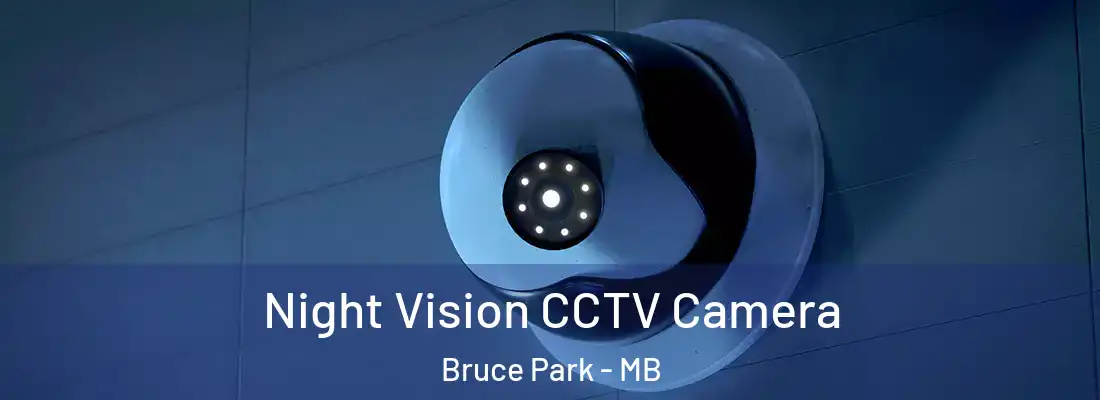  Night Vision CCTV Camera Bruce Park - MB