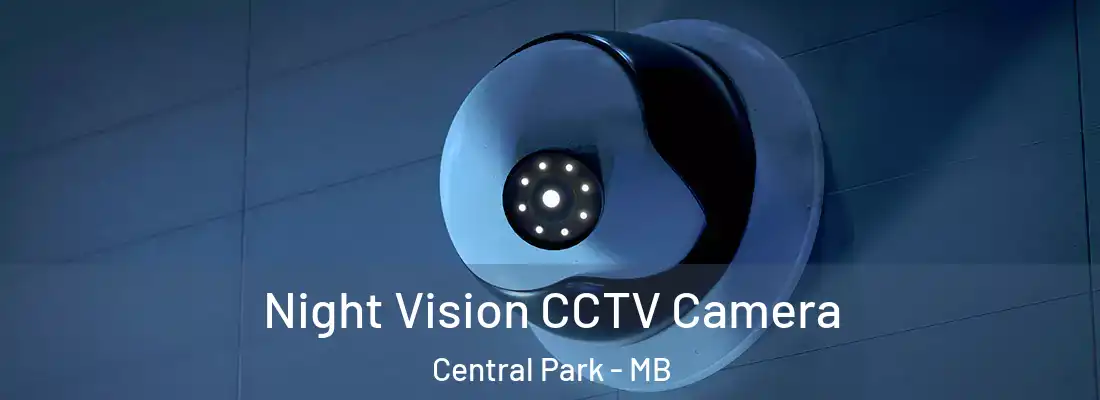  Night Vision CCTV Camera Central Park - MB