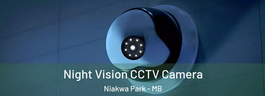  Night Vision CCTV Camera Niakwa Park - MB