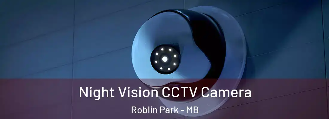  Night Vision CCTV Camera Roblin Park - MB