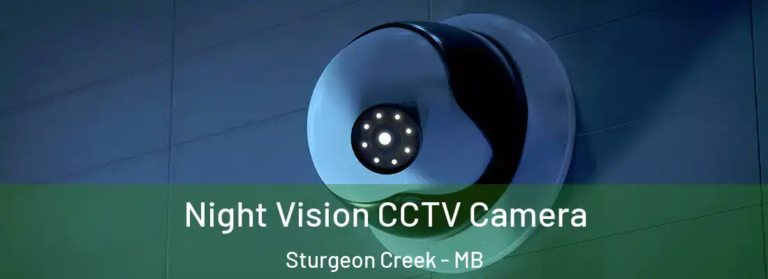  Night Vision CCTV Camera Sturgeon Creek - MB