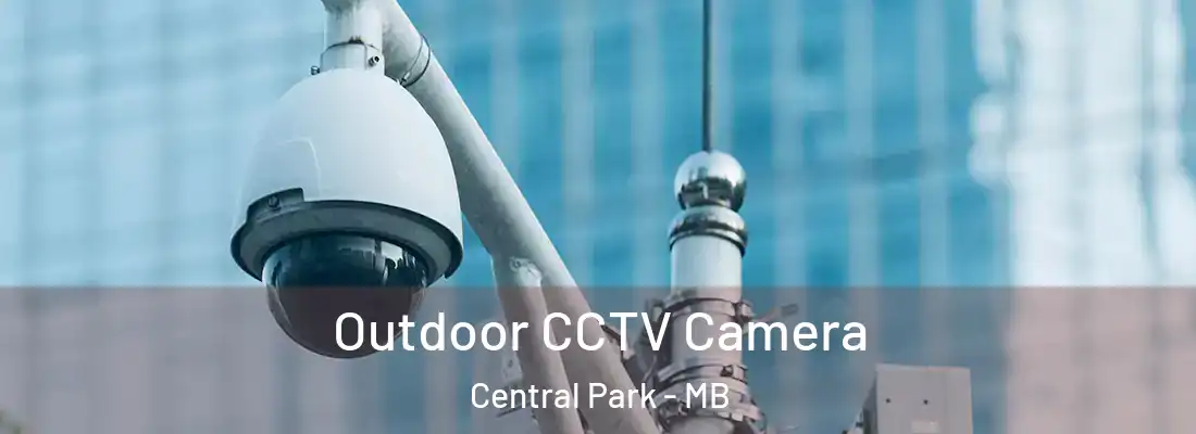  Outdoor CCTV Camera Central Park - MB