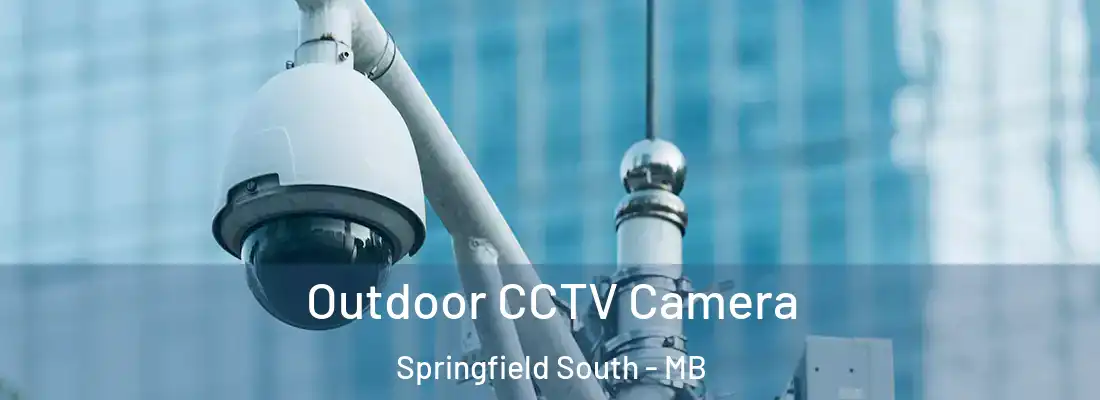 Outdoor CCTV Camera Springfield South - MB