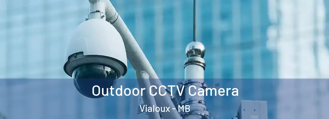  Outdoor CCTV Camera Vialoux - MB
