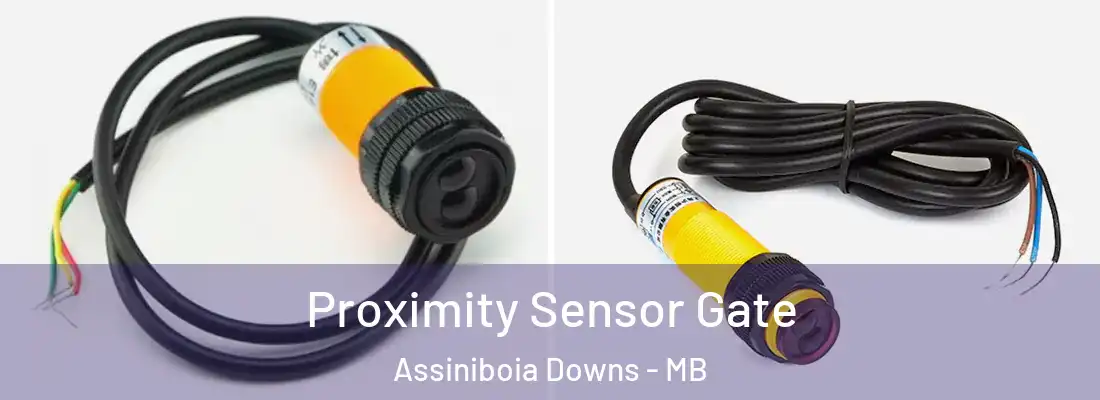  Proximity Sensor Gate Assiniboia Downs - MB