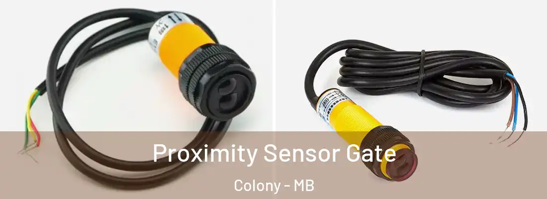  Proximity Sensor Gate Colony - MB