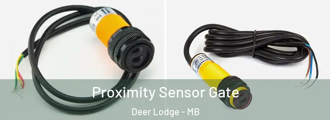  Proximity Sensor Gate Deer Lodge - MB