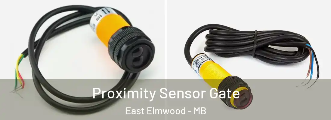  Proximity Sensor Gate East Elmwood - MB