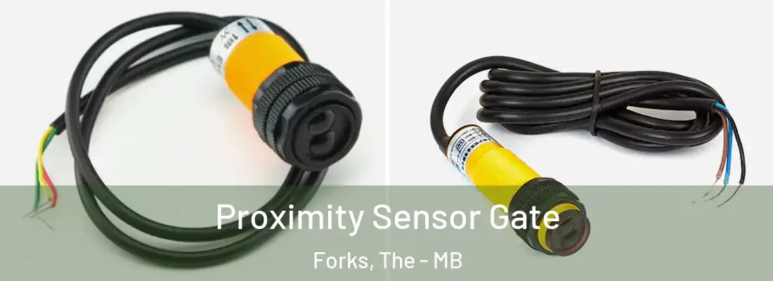  Proximity Sensor Gate Forks, The - MB