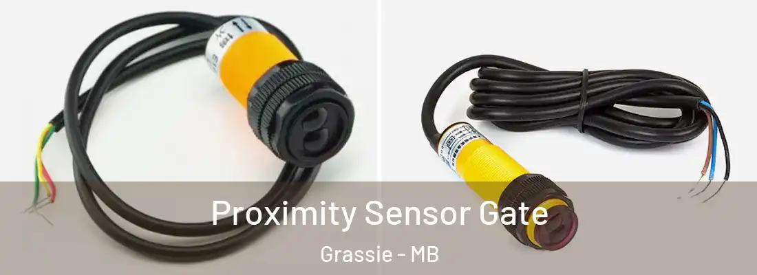  Proximity Sensor Gate Grassie - MB