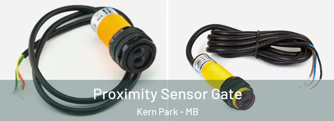  Proximity Sensor Gate Kern Park - MB