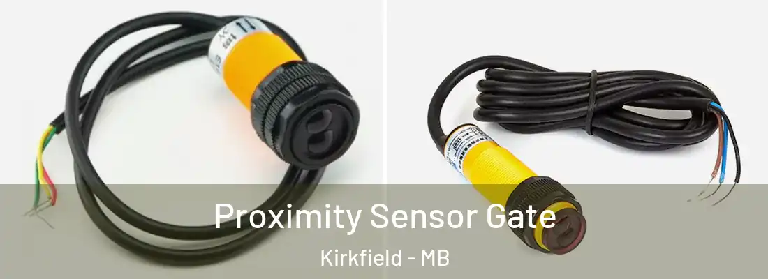  Proximity Sensor Gate Kirkfield - MB