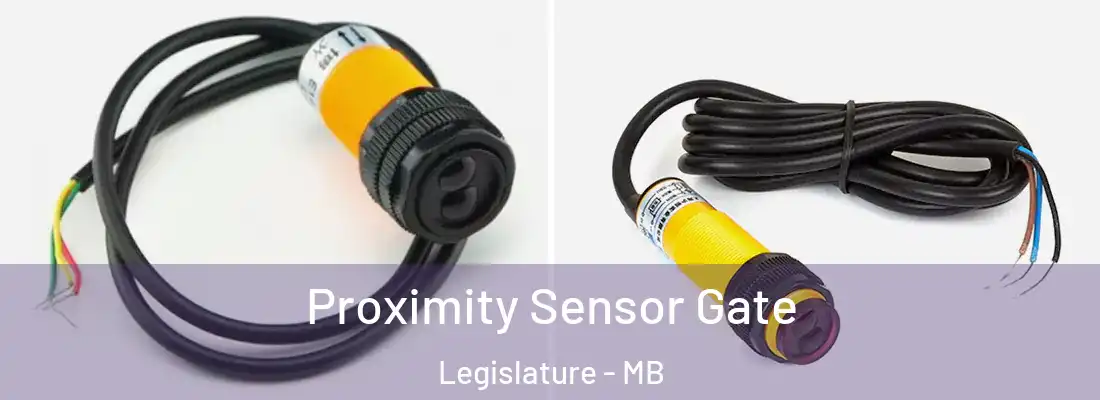  Proximity Sensor Gate Legislature - MB