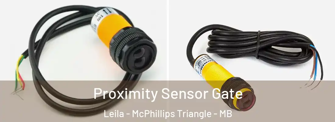  Proximity Sensor Gate Leila - McPhillips Triangle - MB