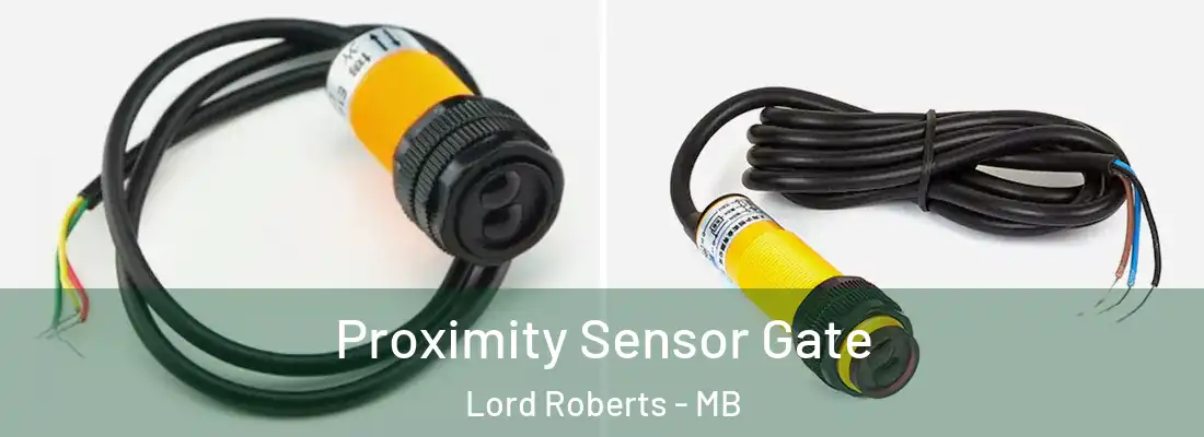  Proximity Sensor Gate Lord Roberts - MB