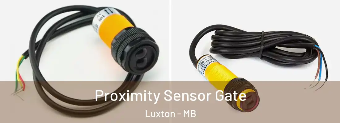  Proximity Sensor Gate Luxton - MB