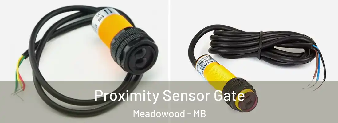  Proximity Sensor Gate Meadowood - MB