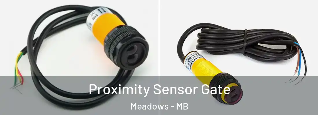  Proximity Sensor Gate Meadows - MB