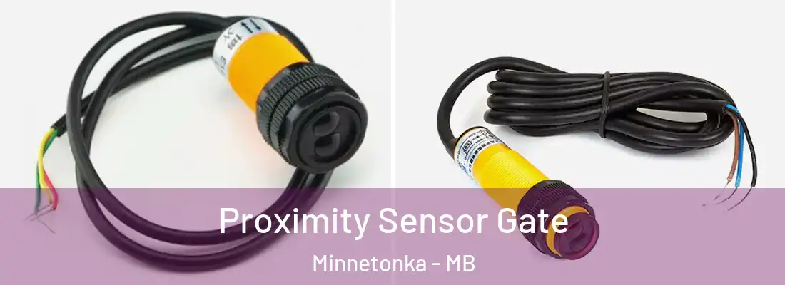  Proximity Sensor Gate Minnetonka - MB