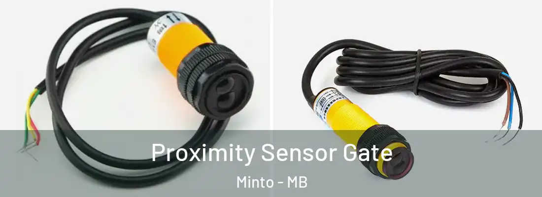 Proximity Sensor Gate Minto - MB