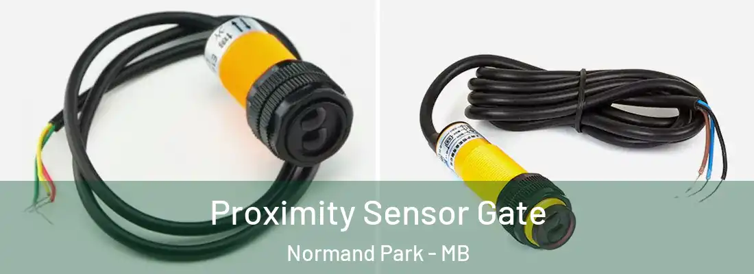  Proximity Sensor Gate Normand Park - MB