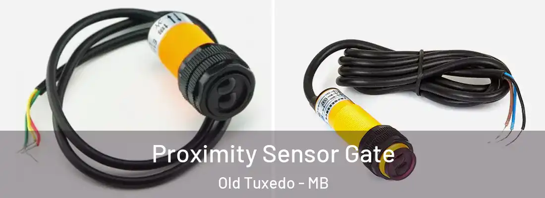  Proximity Sensor Gate Old Tuxedo - MB