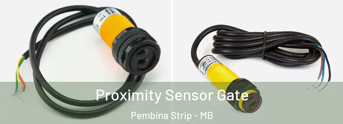  Proximity Sensor Gate Pembina Strip - MB